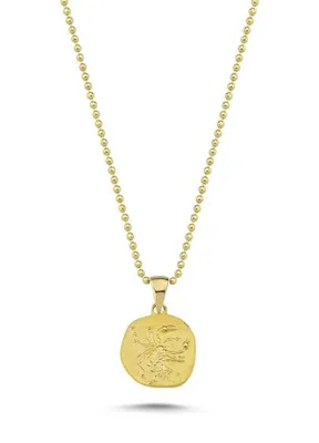 Hems Jewellery Akrep Burcu 14 Ayar Altın Kadın Kolye