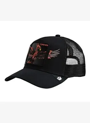 Goorin Bros s Wings Forever 101-3021
