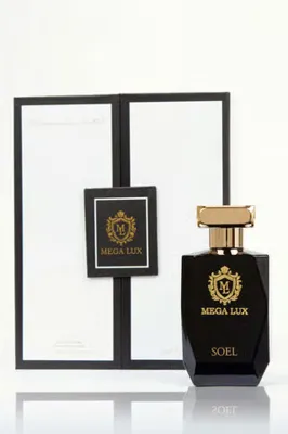 MEGA Lux 100 Ml Niche Parfüm EDP