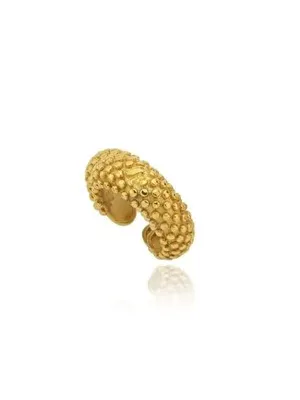 Linya Jewellery Janet Toplu Kıkırdak Küpe Gold