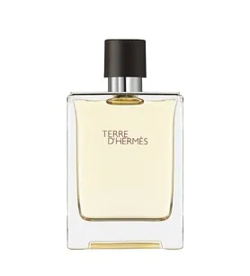 Hermès Hermes Terre D'Hermes Edt 100 Ml Erkek Parfüm