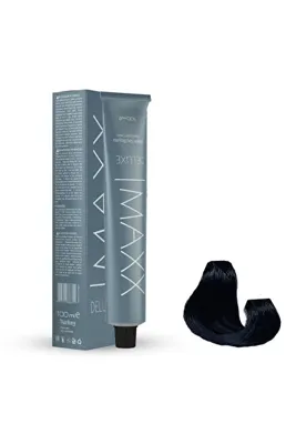 Maxx Deluxe Tüp Boya 1.1 Gece Mavisi 60 Ml X 2 Adet