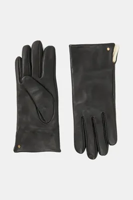Gianni Chiarini ELDİVEN