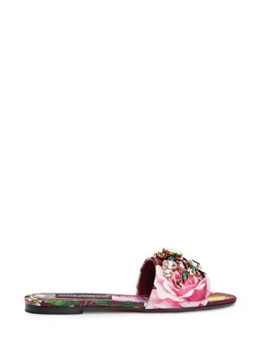 Dolce & Gabbana Çok Renkli Kadın Terlik