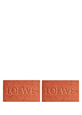 Loewe Tomato Leaves 2li Sabun Seti