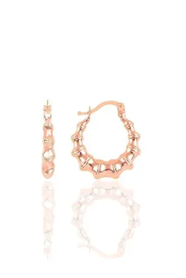 Söğütlü Silver Gümüş Altın Yaldızlı Tırtıl Şarnel Küpe Sgtl10344rose
