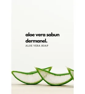 Dermanel Aloe Vera Kabak Lifli Sabun