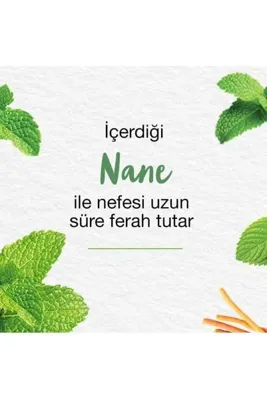 Yıldızan zkra shop Himalaya Since 1930 Nane Ferahlığı Bitkisel Diş Macunu, Florürsüz, Parabensiz, Vejeteryan,