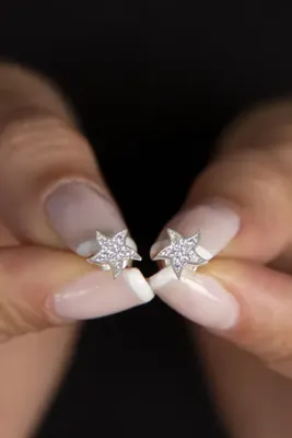 Elika Silver Kadın Yıldız Model 925 Ayar Gümüş Küpe