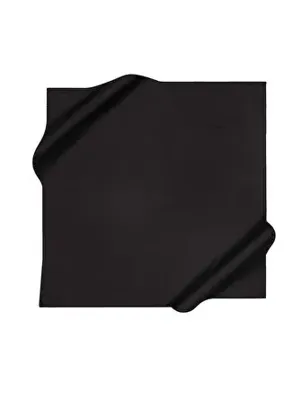 Pierre Cardin Siyah Kadın Eşarp 8869799911
