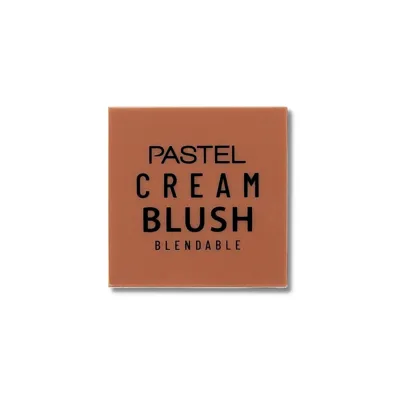 Pastel Allık Profashion No 45 1 adet