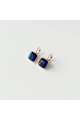Boise Atelier Navy Steel Earring | Çelik Küpe