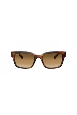 Ray-Ban Rb 2190 954/51 55