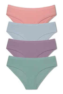 HNX Kadın Pamuklu Bel Ve Paça Lastikli Slip Külot 4'lü Paket