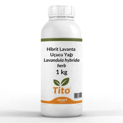 Elito Hibrit Lavanta Uçucu Yağı Lavandula hybrida herb 1 kg