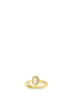 Rita Fine Jewelry Zenith 14 Ayar Altın Kadın Kıkırdak Piercing