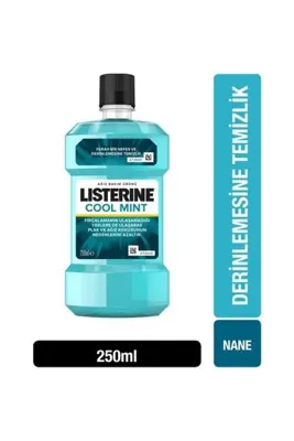 MEÇA Coolmint 250Ml 1 Adet