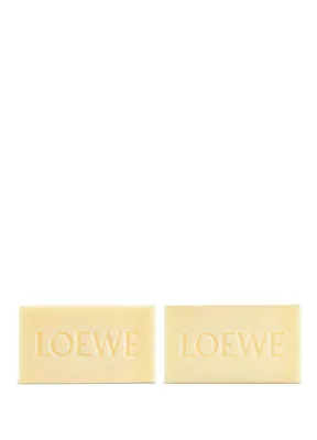 Loewe Oregano Mini Mum