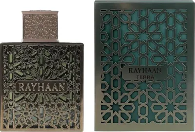 Rayhaan Terra Erkek Parfüm 100 Ml Diğer