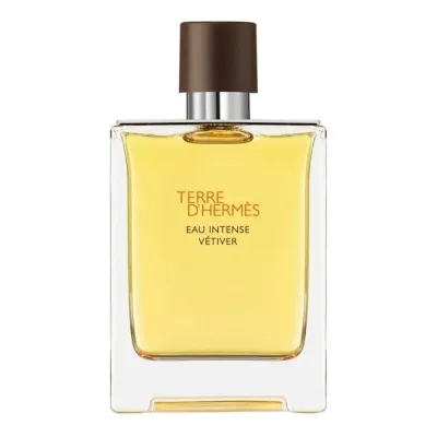 Hermès Hermes Terre DHermes Eau Intense Vetiver Edp 100ml