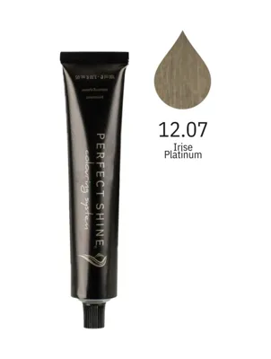 Perfect Shine Permanent Profesyonel Saç Boyası 100 ML İrize Sedefli Ultra Platin/Doğal Gümüş Ext Light