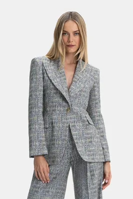 Ermanno Scervino BALIKSIRTI DESENLİ CEKET