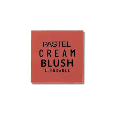 Pastel Allık Profashion No 42 1 adet
