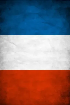 Buffalo Bandana France Flag