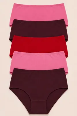 Moda Style Yüksek Bel Bikini Külot 5'li Pamuklu Karışık Renk Kadın Set